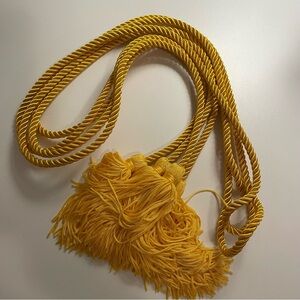 Pair of Tassel Tie Ropes